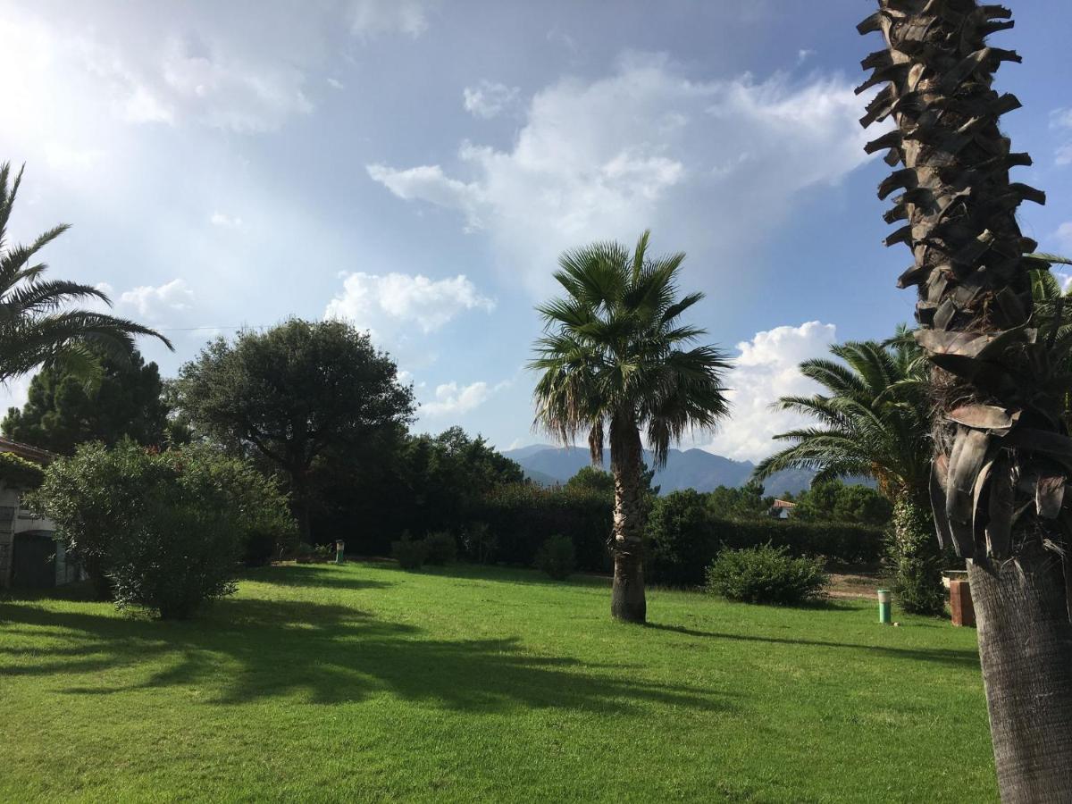 Mini Villa - Corse Du Sud Lecci Eksteriør bilde
